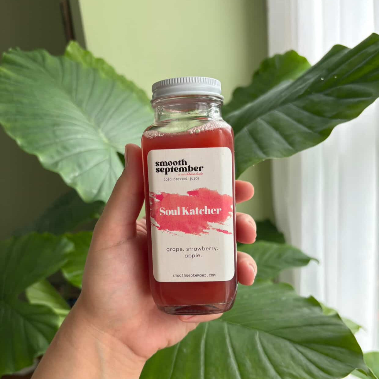 Discover the refreshing and nourishing Premium Cold Press Juice Blends by Organic Juice Bundle, featuring organic healthy drinks that are crafted with cold-pressed juices, herbal tea blends, and herbal tea infusions for your daily wellness. Enjoy these invigorating beverages, perfect for those seeking health teas, elderberry tonic, and caffeine-free tea options.