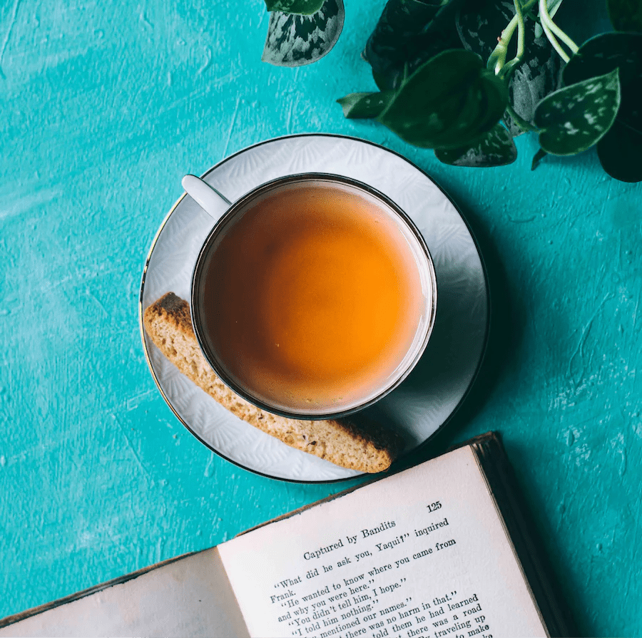 SANA Herbal Tea – Soursop Ginger Detox & Immunity Boost
